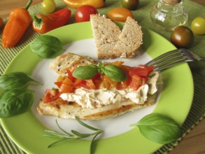 Cream cheese and tomato and pepper salsa on turkey escalope