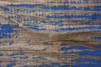 Old wooden texture with weathered blue colour