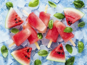 Top view of watermelon and basil popsicles on blue background with fresh green basil leaves and