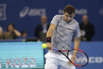 Sofia, Bulgaria - February 12, 2017: Grigor Dimitrov (pictured) from Bulgaria plays against David