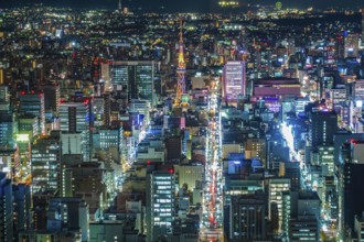 Nagoya night view (from Sky Promenade). Shooting Location: Aichi Prefecture, Nagoya City