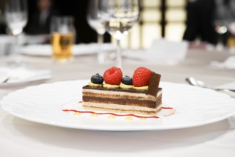 Raspberry and chocolate cake image. Shooting Location: Tokyo metropolitan area