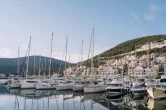 Lustica bay marina with moored sailing yachts and colorful villas. Montenegro.