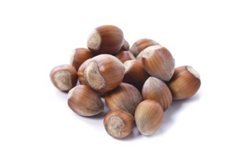 Ripe hazelnuts isolated on white