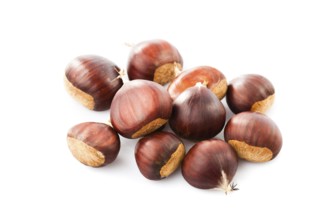 Chestnuts heap isolated on white background