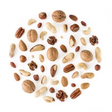 Pattern of nuts in circle form. Various nuts isolated on white. pecan, macadamia, brazil nut,