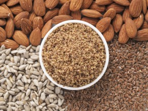 Homemade LSA mix in plate - Linseed or flax seeds, Sunflower seeds and Almonds. Traditional