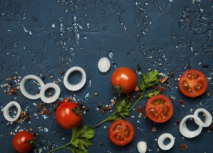 Vegetables background. Fresh vegetables (garlic, tomatoes, onions) on a dark embossed surface. View