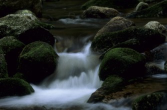 Stream, river