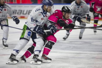 LanxessArena, Cologne, North Rhine-Westphalia, Parker Tuomie (Cologne Sharks, #62) st19+, PENNY