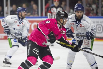 LanxessArena, Cologne, North Rhine-Westphalia, Maximilian Kammerer (Cologne Sharks, #9), PENNY DEL,