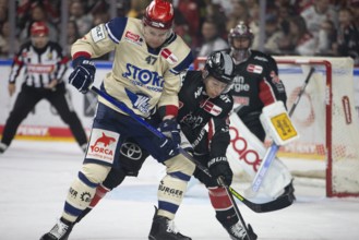 LanxessArena, Cologne, North Rhine-Westphalia, Alexander Karachun (Schwenninger Wild Wings, #47),