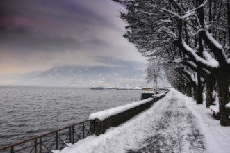 Walkway and Bare Trees with Snow in Winter on the Waterfront to Lake Maggiore with Mountain and