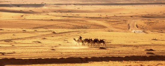 Jordan, Wadi Rum, November 2, 2022: Caravan of camels with drovers in the desert, rock mountains at