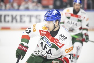 Laura Dick Cologne, LanxessArena, North Rhine-Westphalia, Mick charburner (Augsburger Panther,