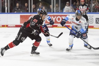 LanxessArena, North Rhine-Westphalia, Juhani Tyrvaeinen (Cologne Sharks, #21), PENNY DEL, Cologne