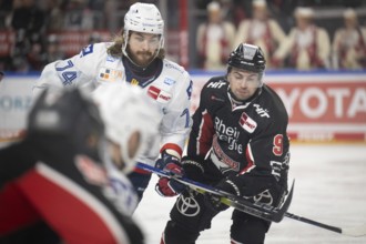 LanxessArena, Cologne, North Rhine-Westphalia, Maximilian Kammerer (Cologne Sharks, #9), Ryan