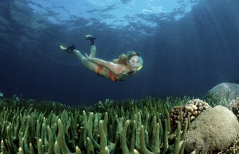 Two woman snorkelling, Bali, Indian Ocean, Indonesia, Asia