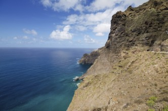 Tenerife landscape. Teno cliffs in north Tenerife island, Canary islands, Spain, Europe