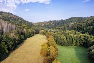 The Selketal valley between Meisdorf and Mägdesprung Selketalstieg natural landscape