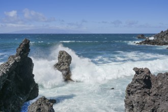 Surf, rocks, waves, Atlantic Ocean south of Los Gigantes, Tenerife, Spain, Europe