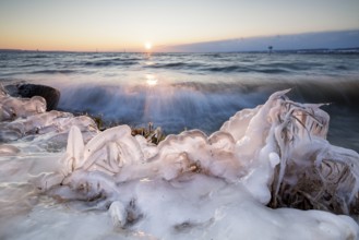 Icy shoreline with ice-covered plants during a lively swell and sunrise, Hörnle, Constance, Lake