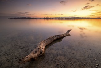 A tree trunk in the calm, clear water of a lake at sunset under a partly cloudy sky,
