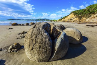 Huge cracked boulder on Moeraki beach. New Zealand. Low tide in the Pacific ocean. The popular