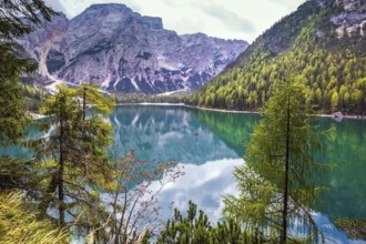 Stroll around the beautiful alpine lake Lago di Braies. The concept of walking and eco-tourism.