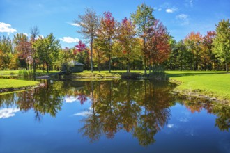 Red, orange and green autumn foliage is reflected to clear water of the lake. The shining sunny day