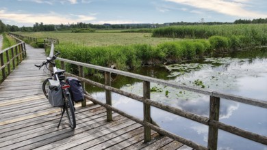 Bicycle on the boardwalk at Federsee lake and at the Kranzach crossing
