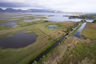 Aerial photographic documentation of the marshy area of Lake Massaciuccoli Tuscany