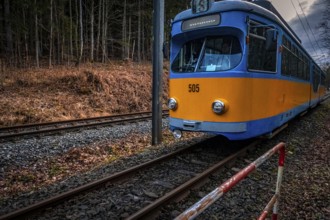 Blue and yellow tram on rails in wooded surroundings in cloudy weather, Friedrichroda, Thuringia,
