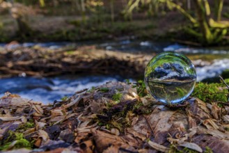 Crystal ball shows reflection of nature in quiet forest atmosphere, Perlbachtal, NIederbayern