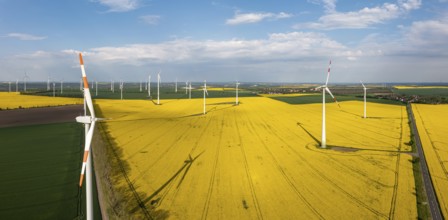 Green energy generation Wind turbines in a landscape with rapeseed fields