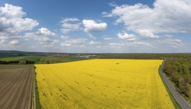 Green energy generation Wind turbines in a landscape with rapeseed fields