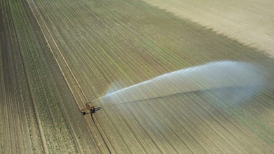 Irrigation equipment watering field. Aerial view. Irrigation of a young plants