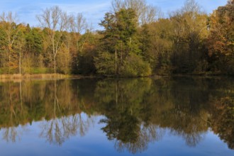 Autumn at Lake Renningen, landscape, reflection
