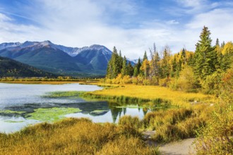 Lake Vermillon among the yellow fall grass and foliage of birches. Travel to autumn. Grandiose