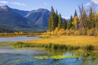 Magic lakes Vermillon in the Rocky Mountains of Canada. Sunset in a clear sunny day
