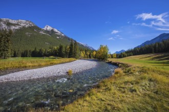 Magnificent valley in Banff National Park. Beneaped autumn stream with a pebbly bottom flows among