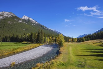 Beneaped autumn stream with a pebbly bottom flows among fields and pine forests. Magnificent valley