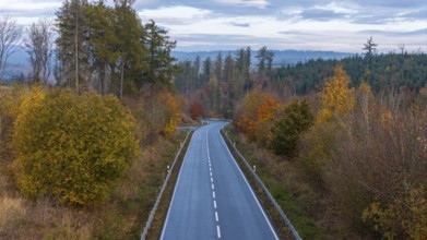 Country road in colourful deciduous forest aerial view