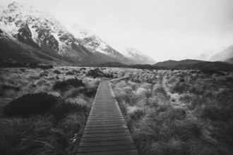 Long wooden walkway through grassy landscape with snow-capped mountains in the background in black