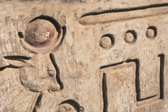 Immerse yourself in the world of ancient Egypt with this image, showcasing intricate bull designs