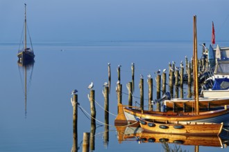 Single boat and seagulls on piles reflected in the calm blue water, Salzhaff with lagoon jetty,