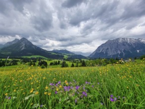Summer austrian landscape with Grimming mountain (2.351 m), an isolated peak in the Dachstein