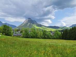 Summer austrian landscape with green meadows and impressive mountains, view from small alpine