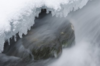 Flowing water in a stream in the Atndalen valley, Hedmark Fylke, Norway, November 2011, Europe