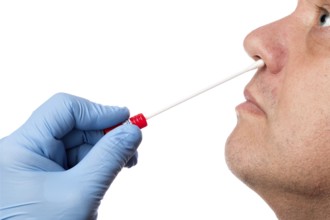 Doctor performs a nasal swab test with a cotton swab